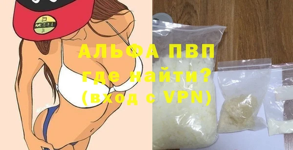 стафф Алексин