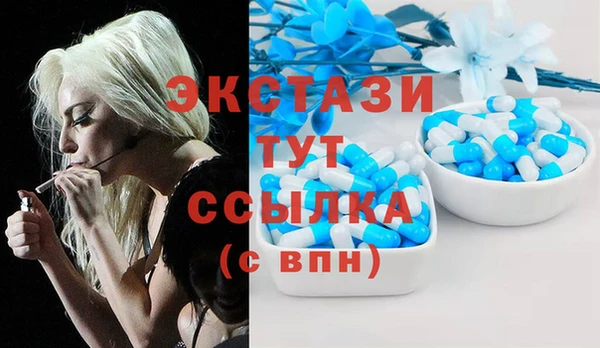 стафф Алексин