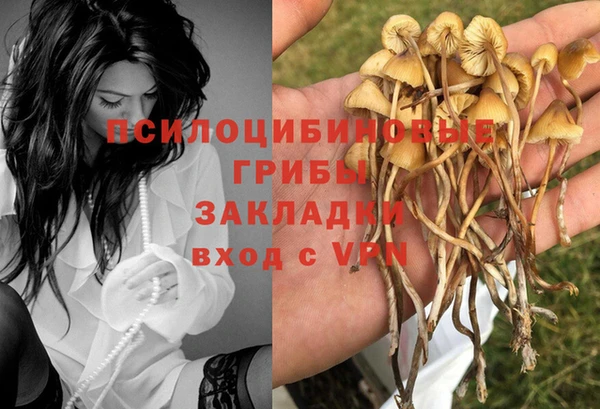 стафф Алексин