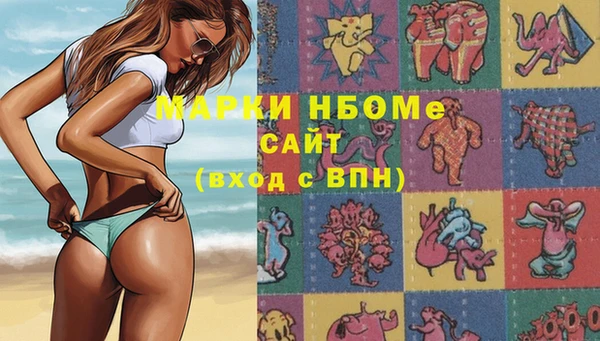 стафф Алексин